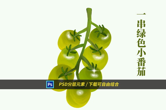 一串綠色小番茄
