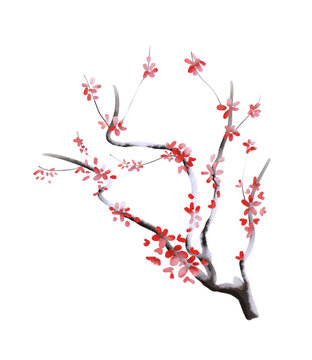 梅花樹