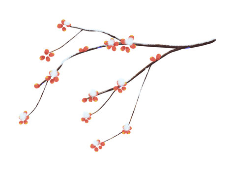 梅花花枝