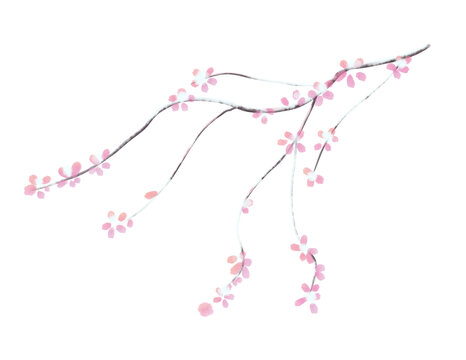 梅花花海