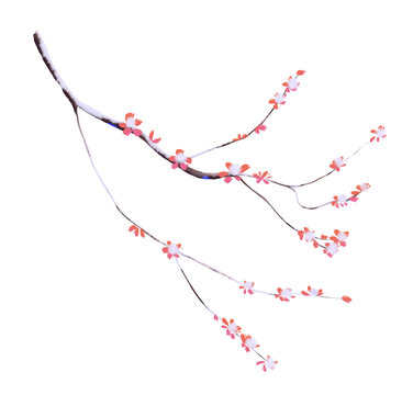 雪梅花