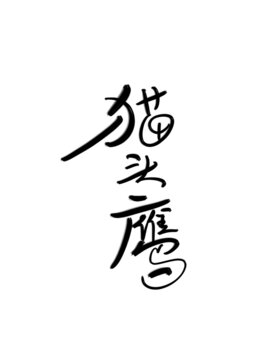 貓頭鷹