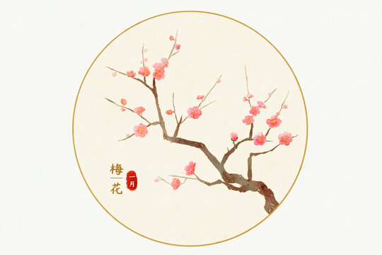手繪國風梅花植物花卉十二花令系列