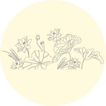 荷花線稿圖