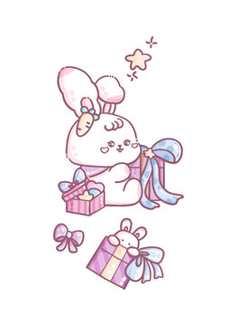 生日兔子過生日生日禮物