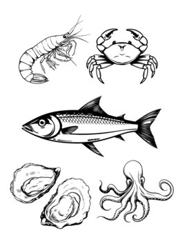 海鮮魚食物線稿