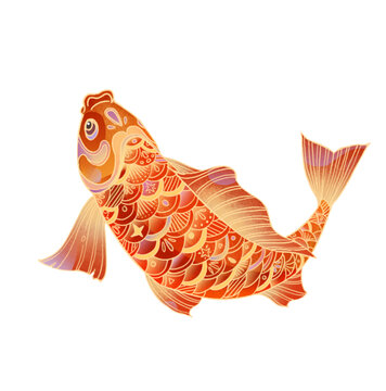 鯉魚(yú)