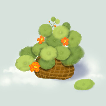 旱金蓮植物盆栽小場景