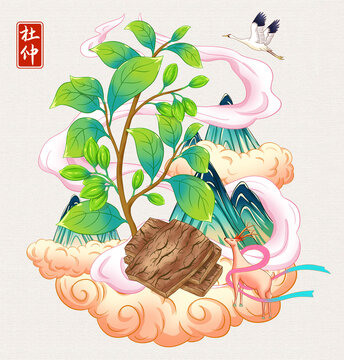 杜仲插畫手繪