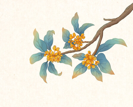 桂花插畫