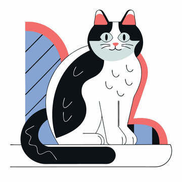 貓
