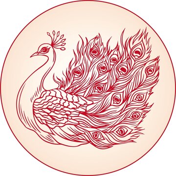 孔雀圖案