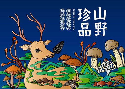 山珍菌菇插畫