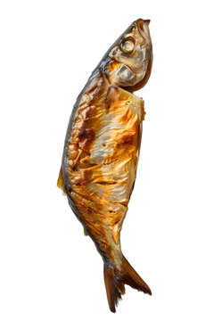 [免摳素材]白色背景上的烤魚