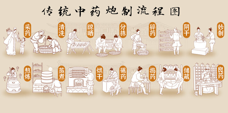 中藥炮制流程線描插畫