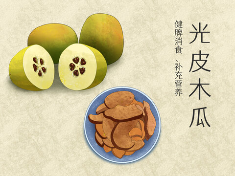 手繪水彩中藥藥材光皮木瓜插畫(huà)