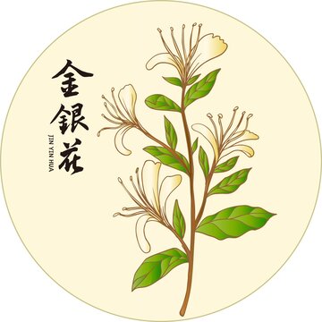 金銀花