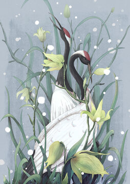 小雪