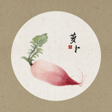 國畫蘿卜冬天蔬菜寫生插畫