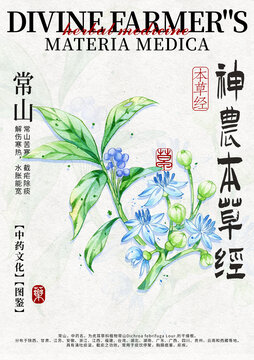 常山中藥材水彩設計模版
