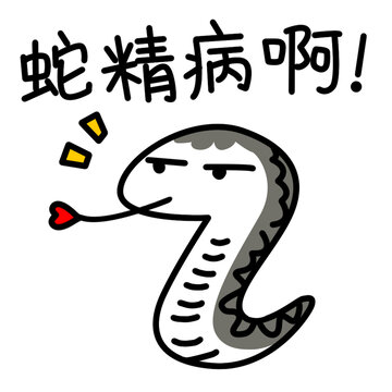 蛇年