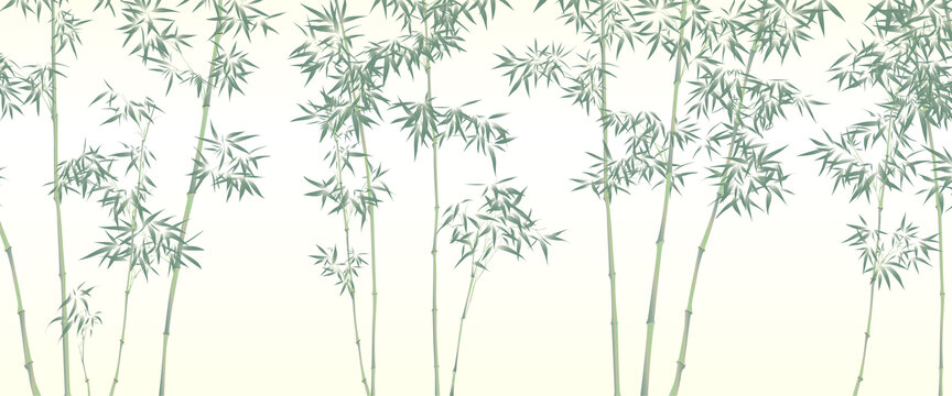 矢量竹子插畫