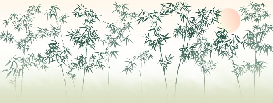 竹子背景插畫