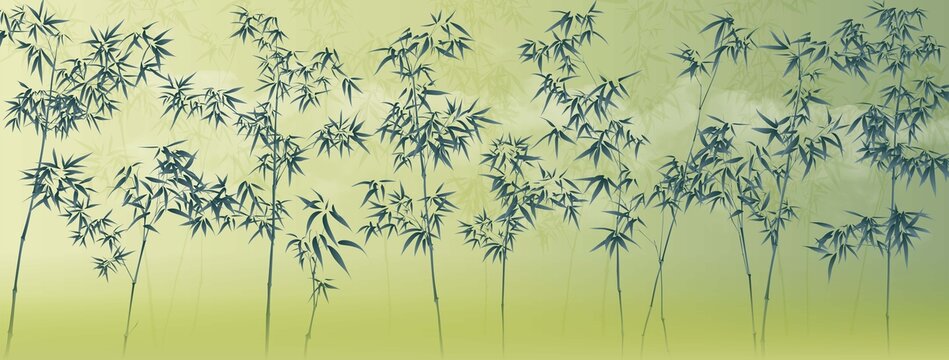 竹林背景圖