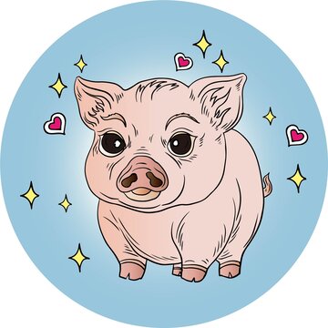 可愛卡通小豬