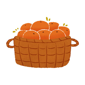 手繪橘子插畫(huà)