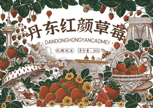 版畫草莓包裝插畫丹東紅顏草莓
