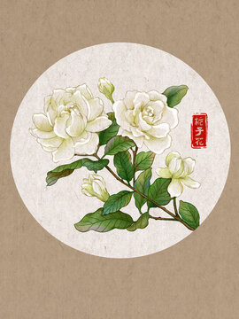 梔子花
