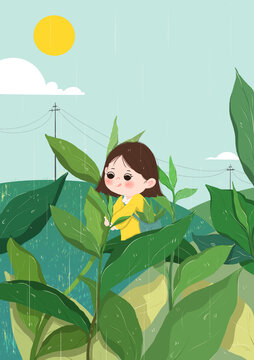 手繪女孩摘茶葉插畫