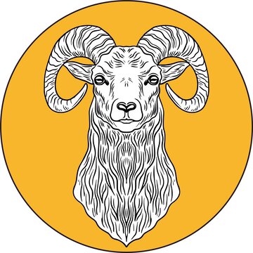 羊插畫(huà)
