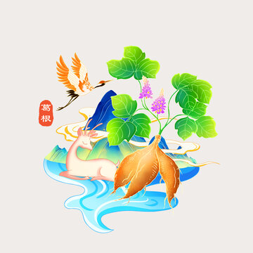 葛根
