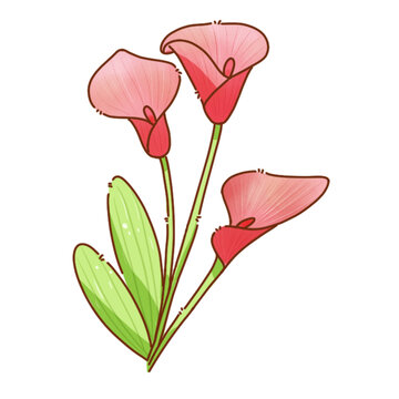 可愛馬蹄蓮花卉素材