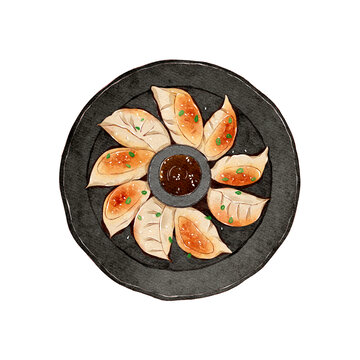 水彩美食插畫煎餃子