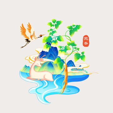 黨參手繪