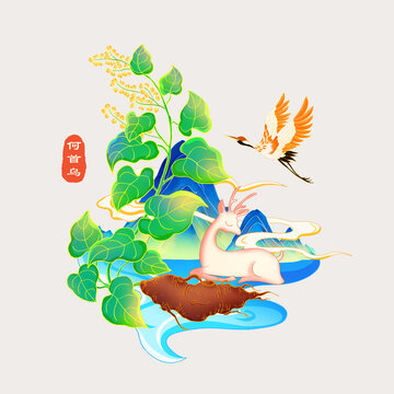 何首烏國(guó)潮插畫(huà)
