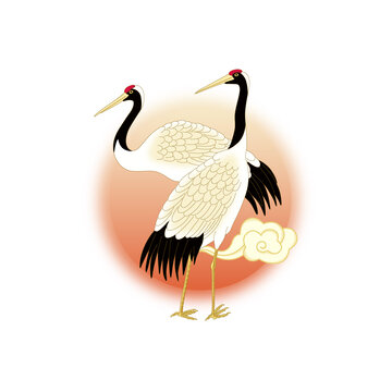 仙鶴矢量插畫