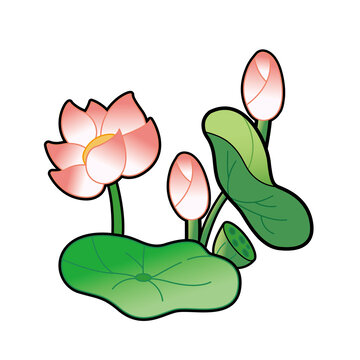 荷花