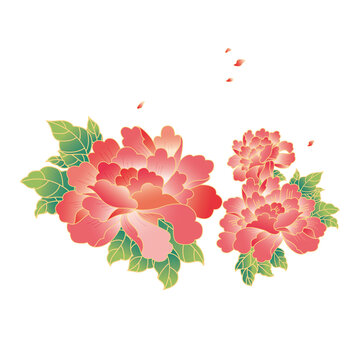 牡丹花