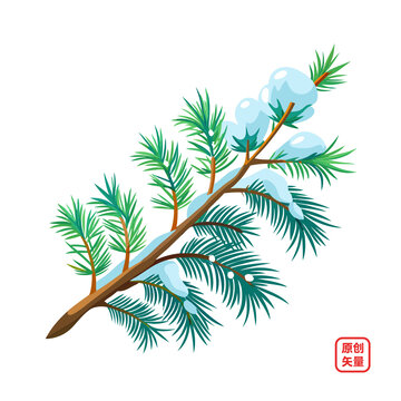 植物圣誕節(jié)松枝落雪