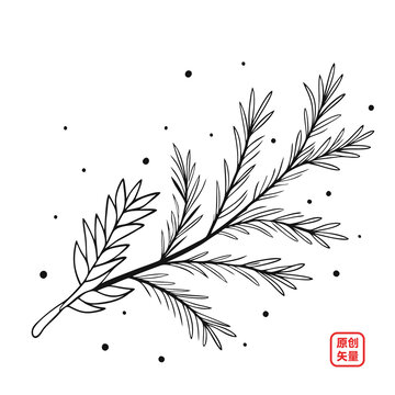 植物枝葉圣誕節(jié)松枝裝飾