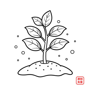 植物線條出土幼苗禾苗