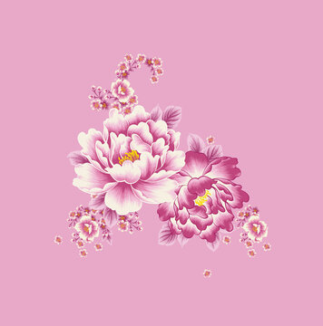華貴紫色牡丹