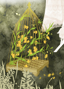 金色鳥(niǎo)籠花卉