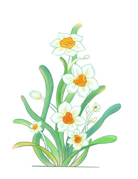 水仙花