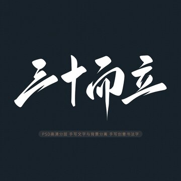 三十而立