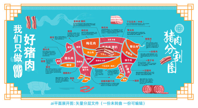 豬肉分割圖